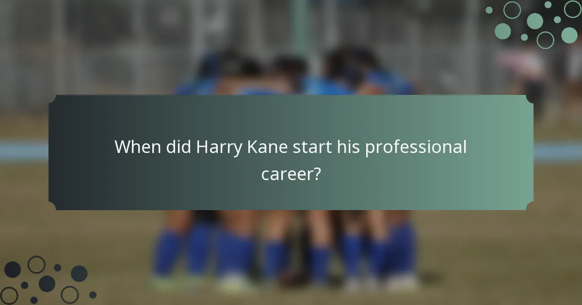 When did Harry Kane start his professional career?